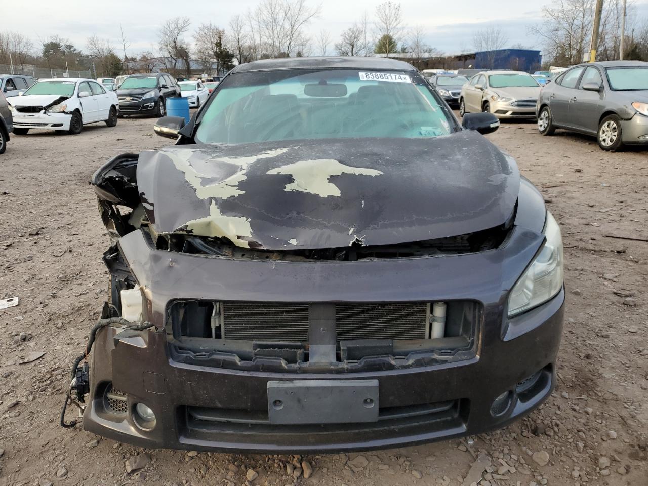 Lot #3024478570 2010 NISSAN MAXIMA S