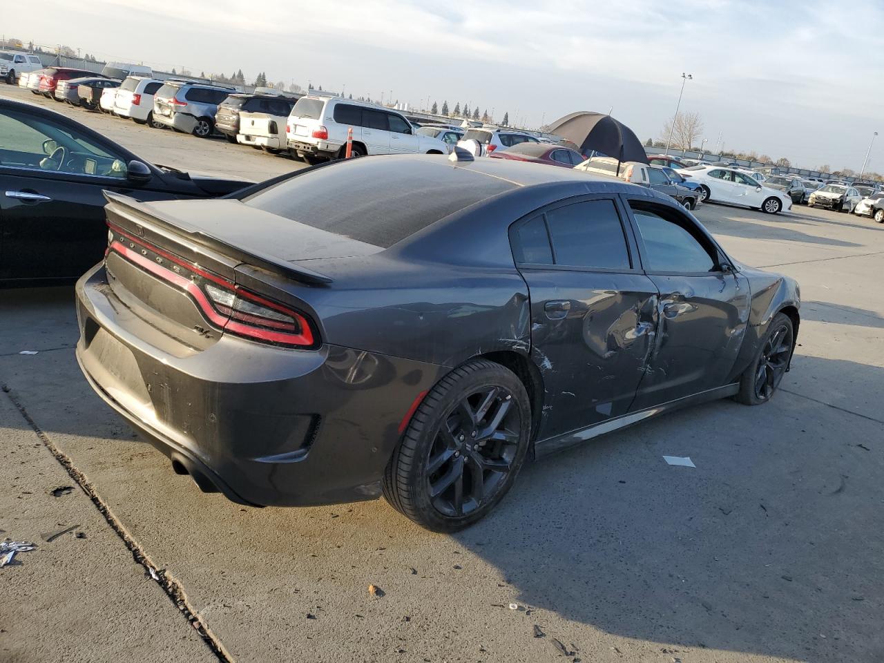 Lot #3030624093 2022 DODGE CHARGER R/