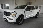 Lot #3025862500 2023 FORD F150 SUPER