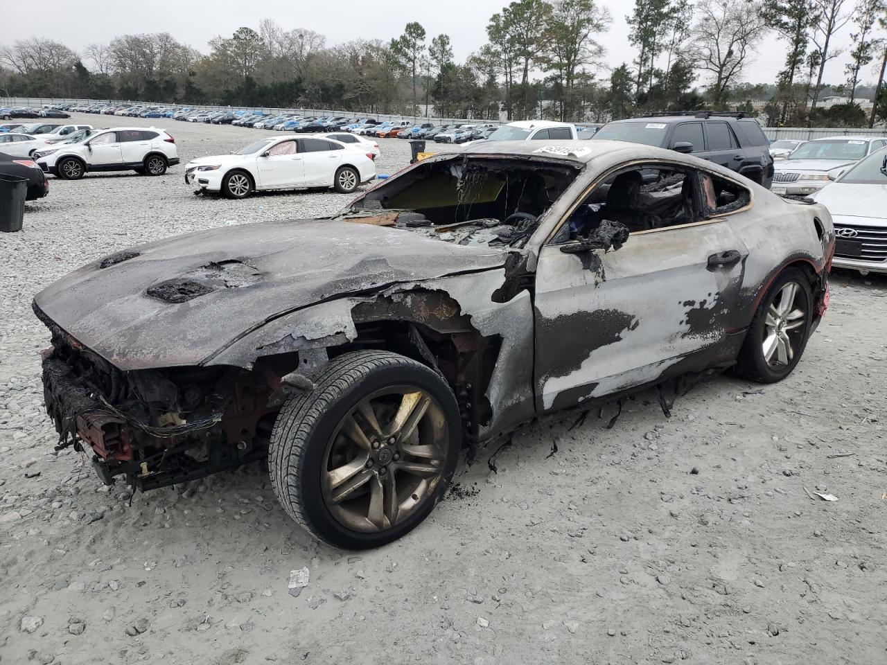1FA6P8TH4M5126530 FORD MUSTANG 2021