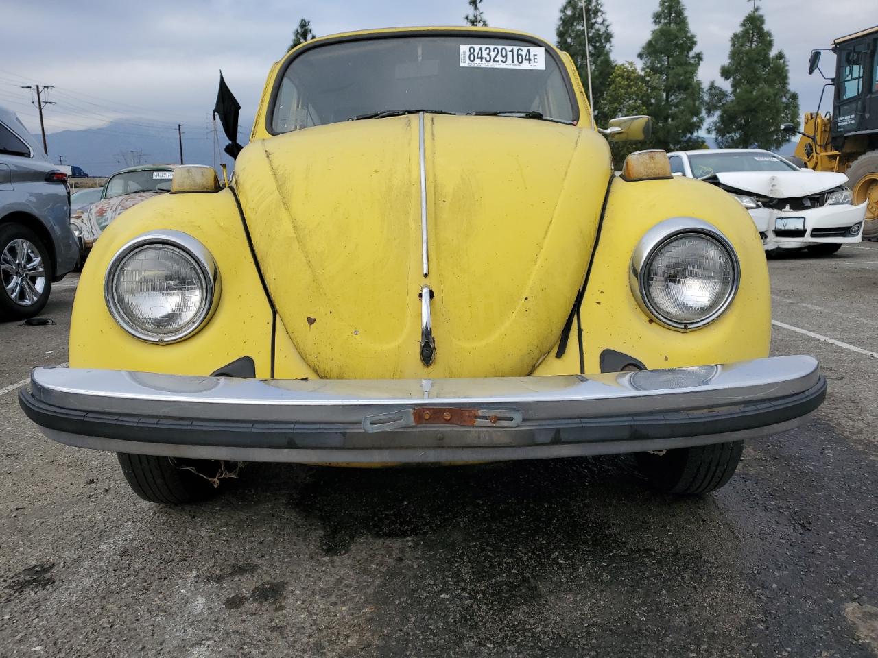 Lot #3027078807 1974 VOLKSWAGEN BEETLE