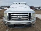 Lot #3025835316 2009 FORD F150 SUPER