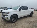 Lot #3032090056 2019 CHEVROLET SILVERADO