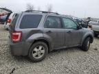 Lot #3027141866 2011 FORD ESCAPE XLS