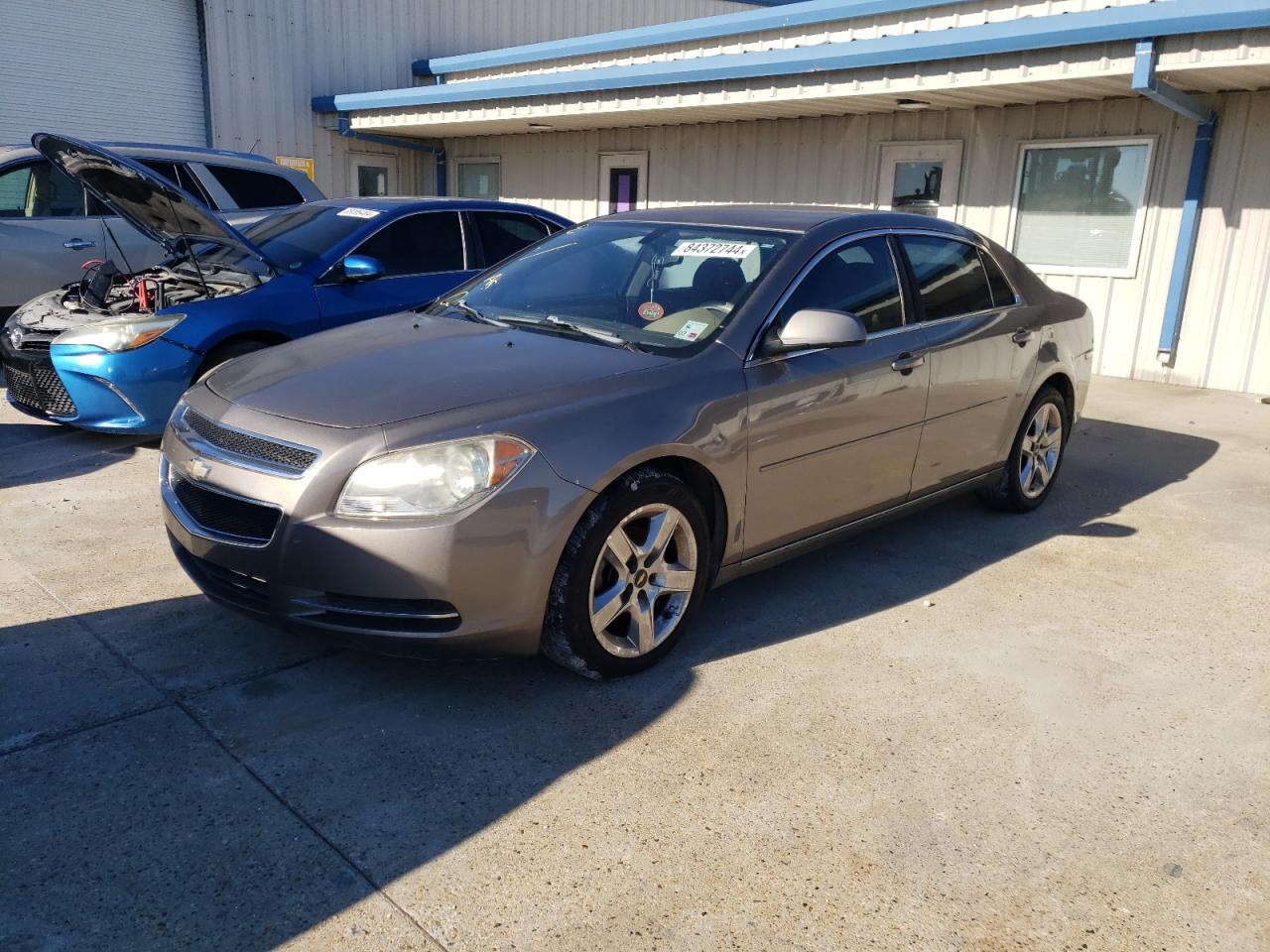 Lot #3036995725 2010 CHEVROLET MALIBU 1LT