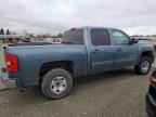 Lot #3050812109 2009 CHEVROLET SILVERADO