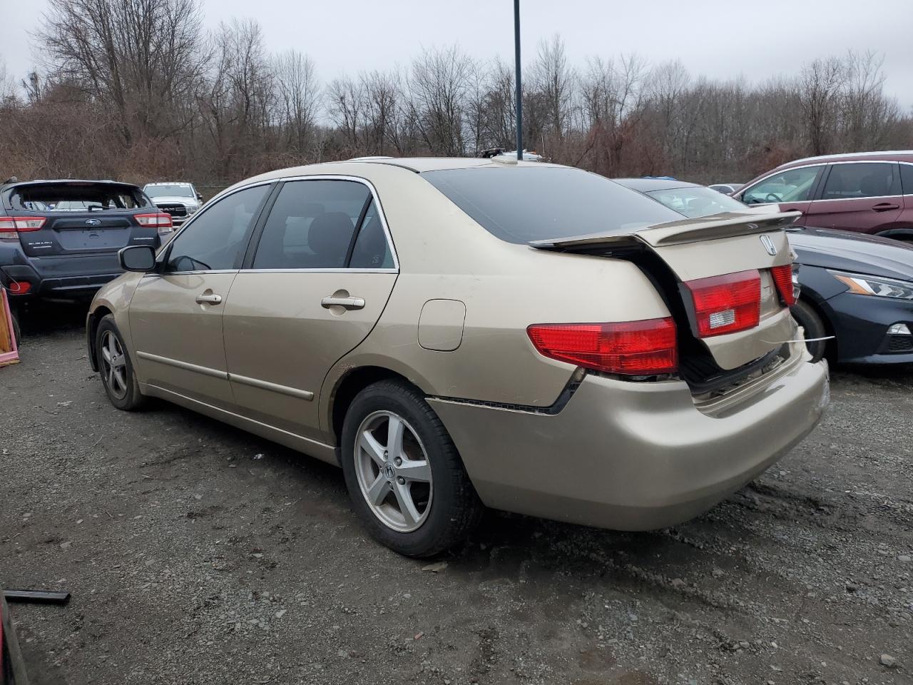 Lot #3044533589 2005 HONDA ACCORD EX