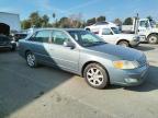 Lot #3024558632 2002 TOYOTA AVALON XL