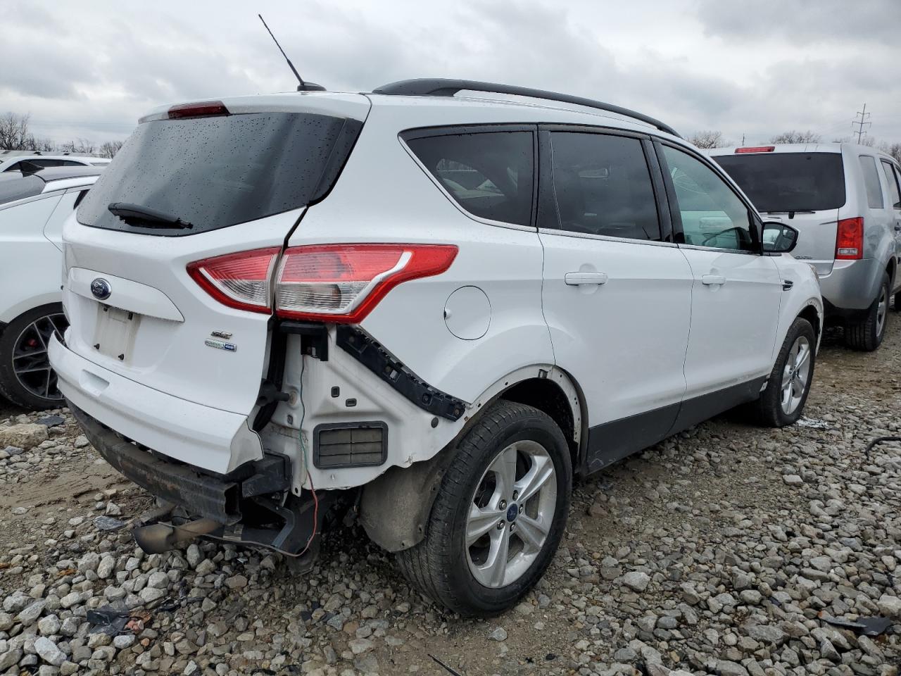 Lot #3034283126 2014 FORD ESCAPE SE