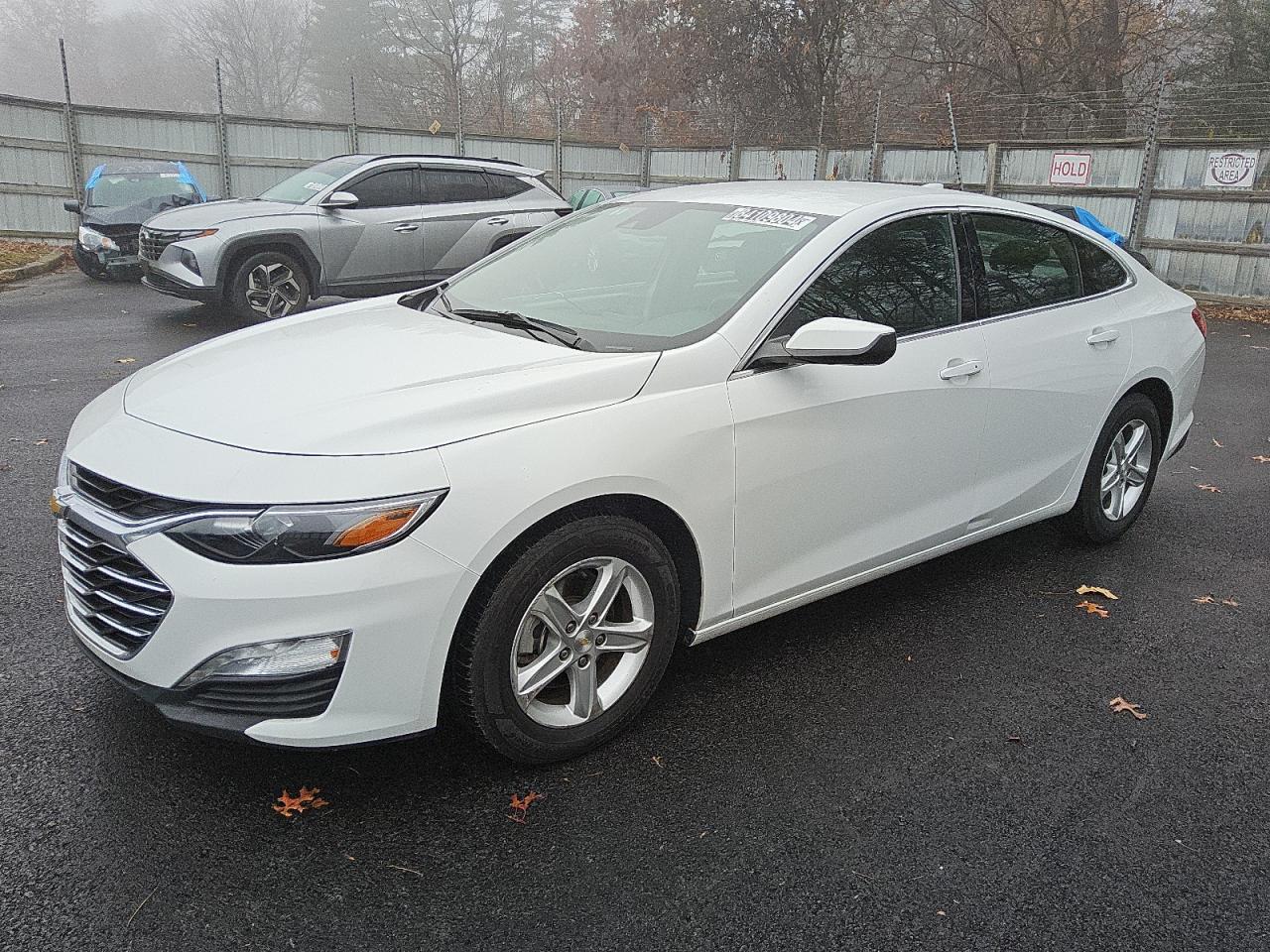 Lot #3030557833 2023 CHEVROLET MALIBU LT