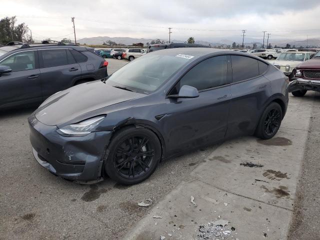 TESLA MODEL Y 2021 gray  electric 5YJYGDEE6MF253986 photo #1