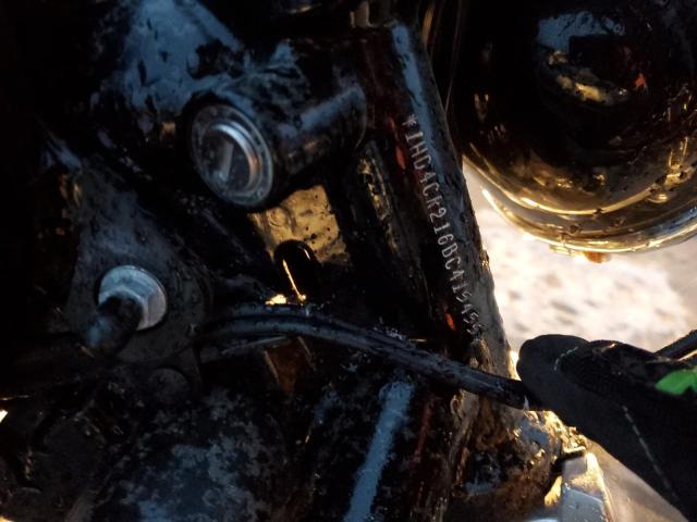2011 HARLEY-DAVIDSON XL883 L 1HD4CR216BC415455