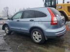 Lot #3028366789 2010 HONDA CR-V EX