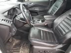 Lot #3032999034 2019 FORD ESCAPE TIT