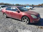 Lot #3048776756 2004 NISSAN MAXIMA SE