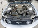 Lot #3025088228 2009 FORD MUSTANG GT