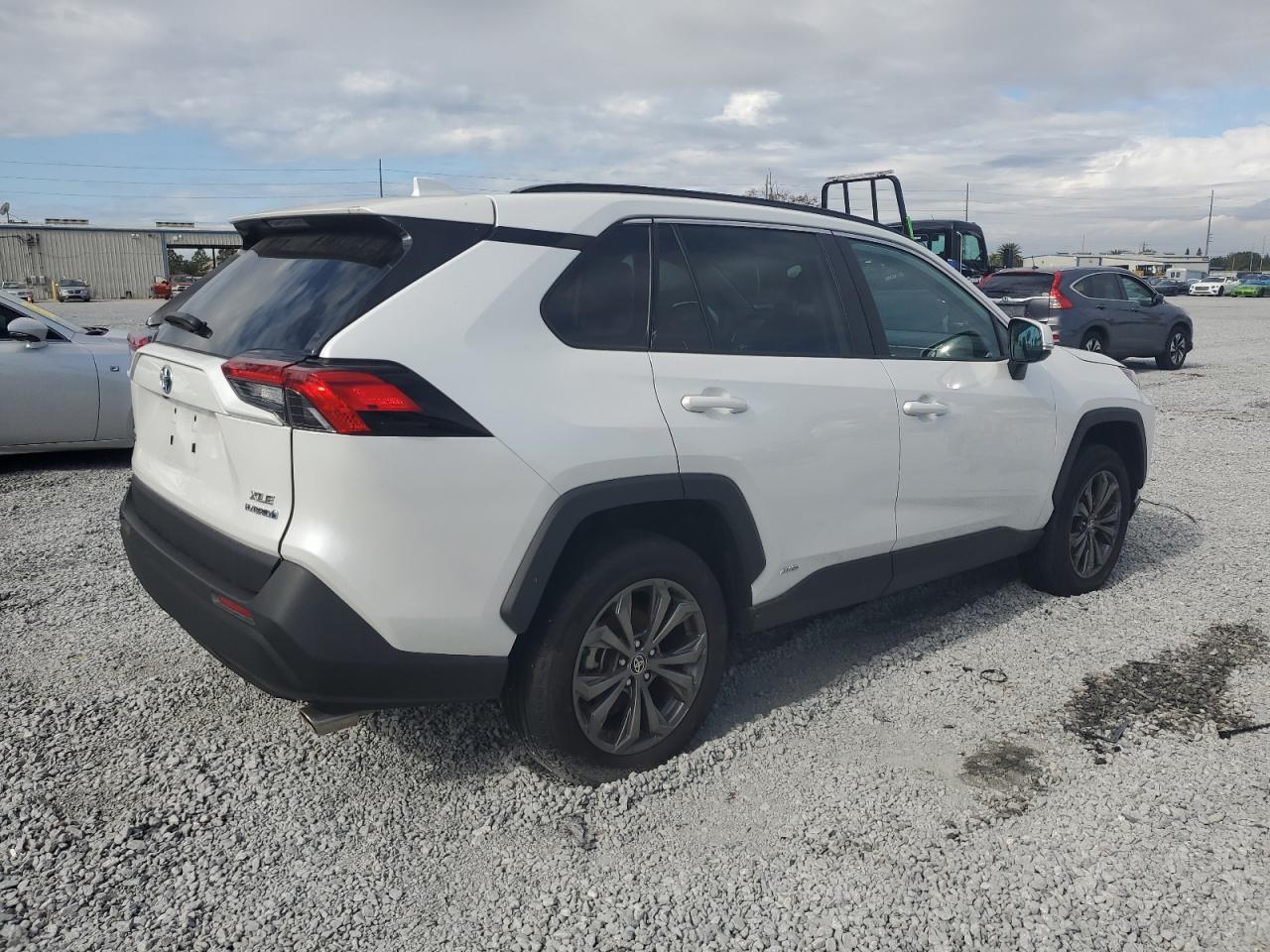 Lot #3041987229 2023 TOYOTA RAV4 XLE P