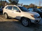 Lot #3025075193 2011 KIA SORENTO EX