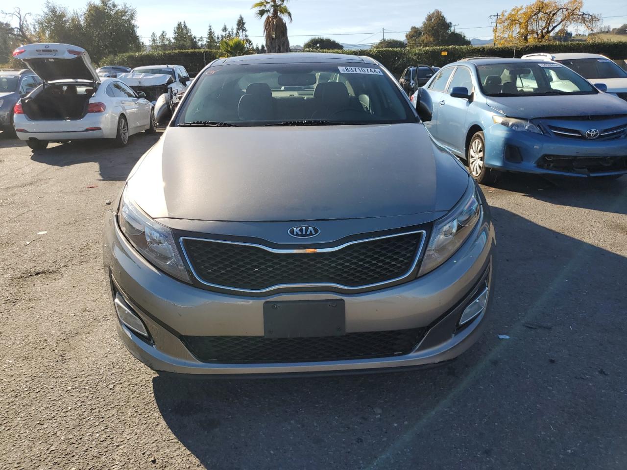 Lot #3032990000 2014 KIA OPTIMA EX