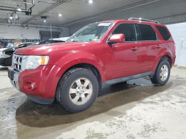 2011 FORD ESCAPE #3025833302