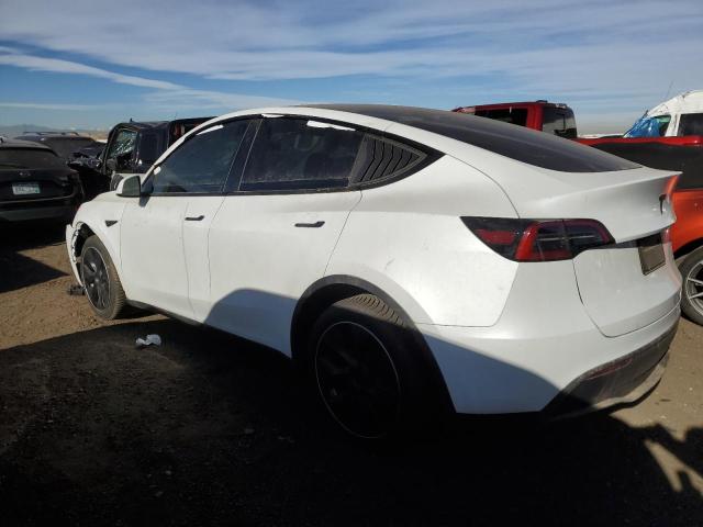 TESLA MODEL Y 2023 white  electric 7SAYGDEE2PF845215 photo #3