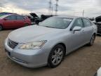 Lot #3024600643 2008 LEXUS ES 350