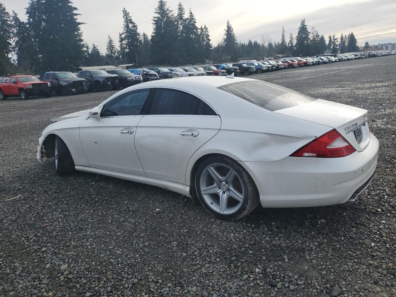 Lot #3048722781 2009 MERCEDES-BENZ CLS 550