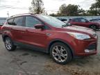 Lot #3025838306 2015 FORD ESCAPE SE