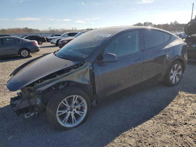 TESLA MODEL Y 2023 gray  electric 7SAYGAEE2PF906075 photo #1