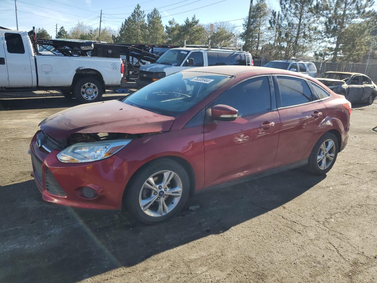 Lot #3033324812 2014 FORD FOCUS SE