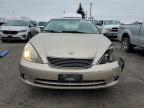 Lot #3024213895 2005 LEXUS ES 330