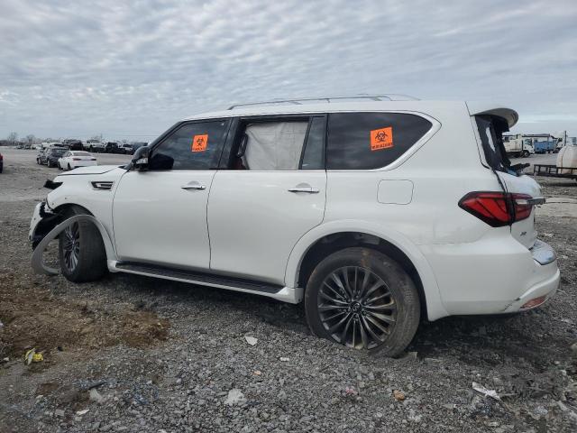 INFINITI QX80 SENSO 2024 white  gas JN8AZ2BE6R9326123 photo #3