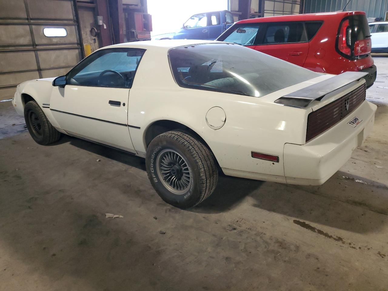 Lot #3033359806 1984 PONTIAC FIREBIRD