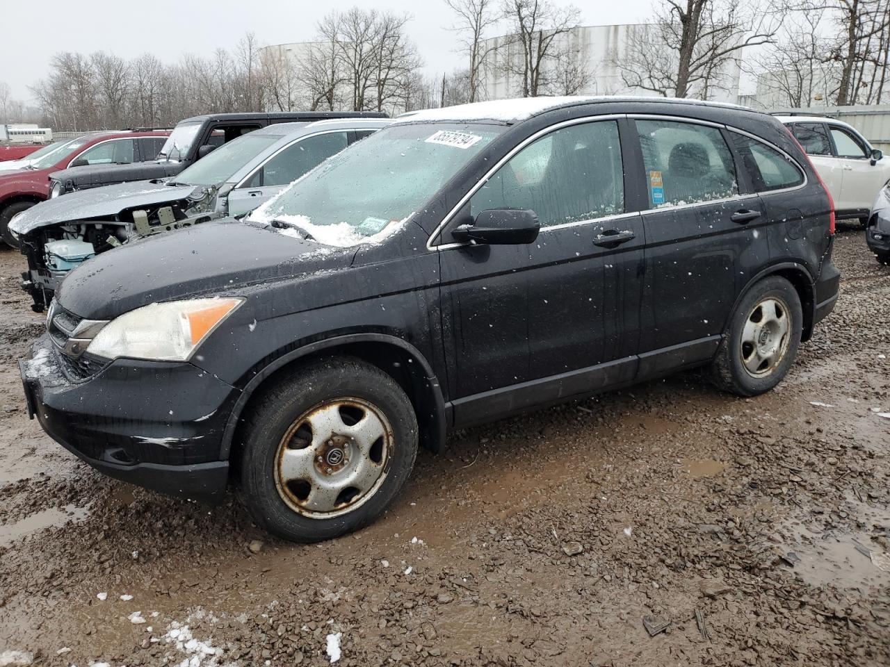 Lot #3029348786 2011 HONDA CR-V LX