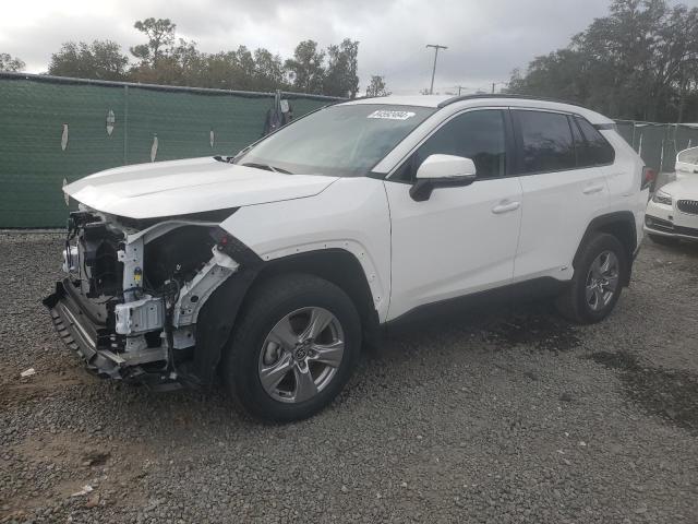 2024 TOYOTA RAV4 XLE #3028508006