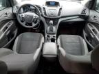 Lot #3024742230 2014 FORD ESCAPE S