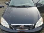 Lot #3030432464 2005 TOYOTA COROLLA CE