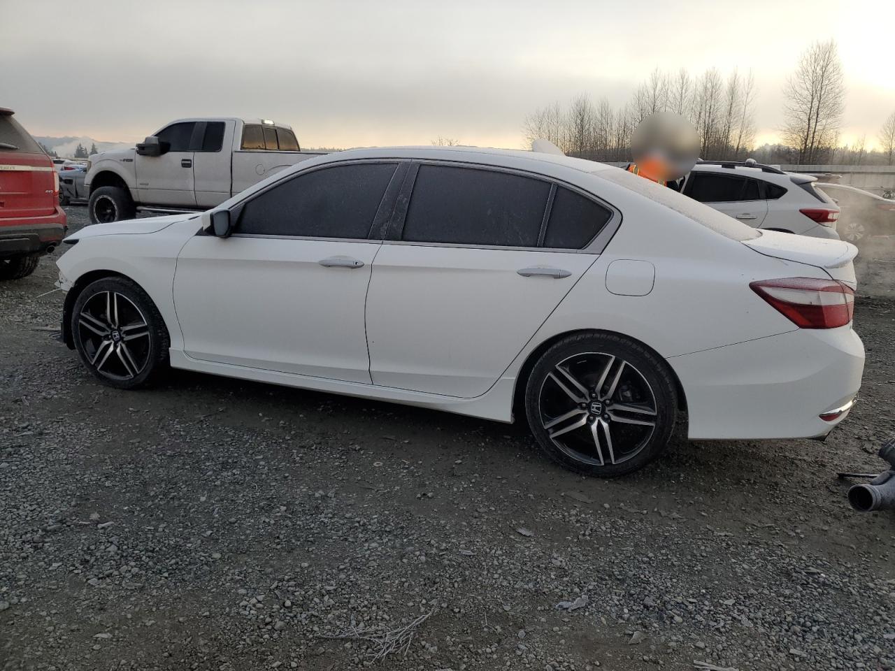 Lot #3046006346 2017 HONDA ACCORD SPO