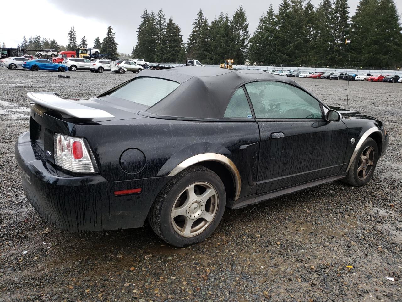 Lot #3034538761 2004 FORD MUSTANG