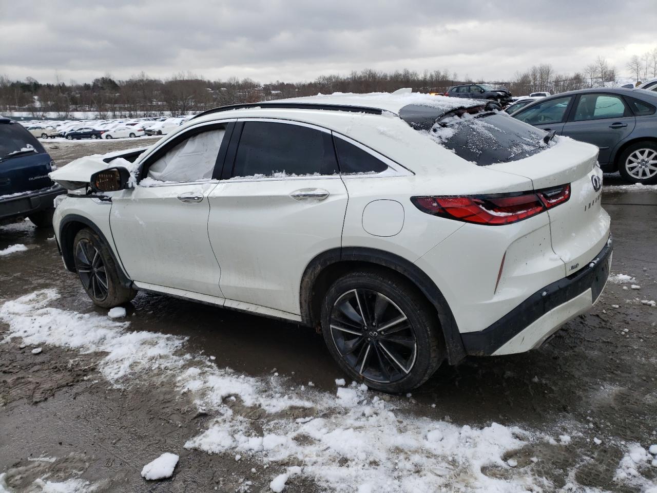 Lot #3028599957 2023 INFINITI QX55 LUXE