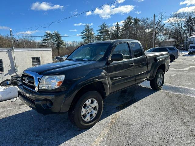 2005 TOYOTA TACOMA ACC #3024613610