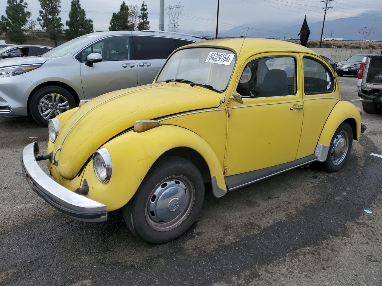 Lot #3027078807 1974 VOLKSWAGEN BEETLE