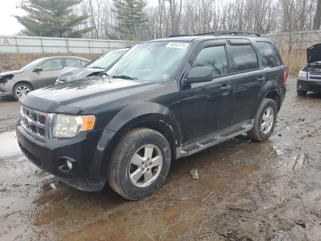 2010 FORD ESCAPE XLT #3041055429