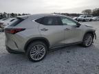 Lot #3023824880 2023 LEXUS NX 350H