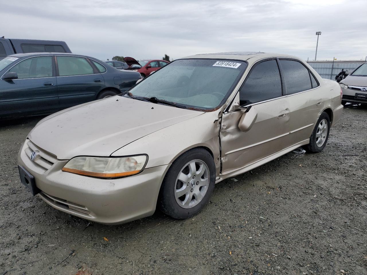 Lot #3028382796 2001 HONDA ACCORD EX