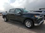 Lot #3037304157 2023 CHEVROLET SILVERADO