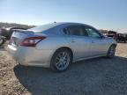 Lot #3024581711 2010 NISSAN MAXIMA S