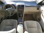 Lot #3025026235 2009 TOYOTA COROLLA BA