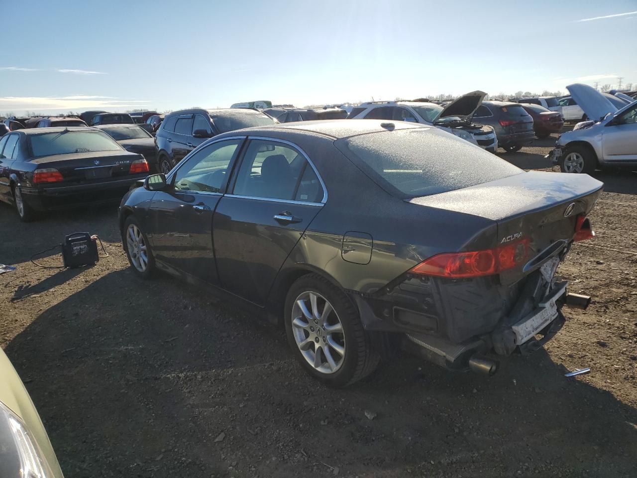 Lot #3029363690 2008 ACURA TSX