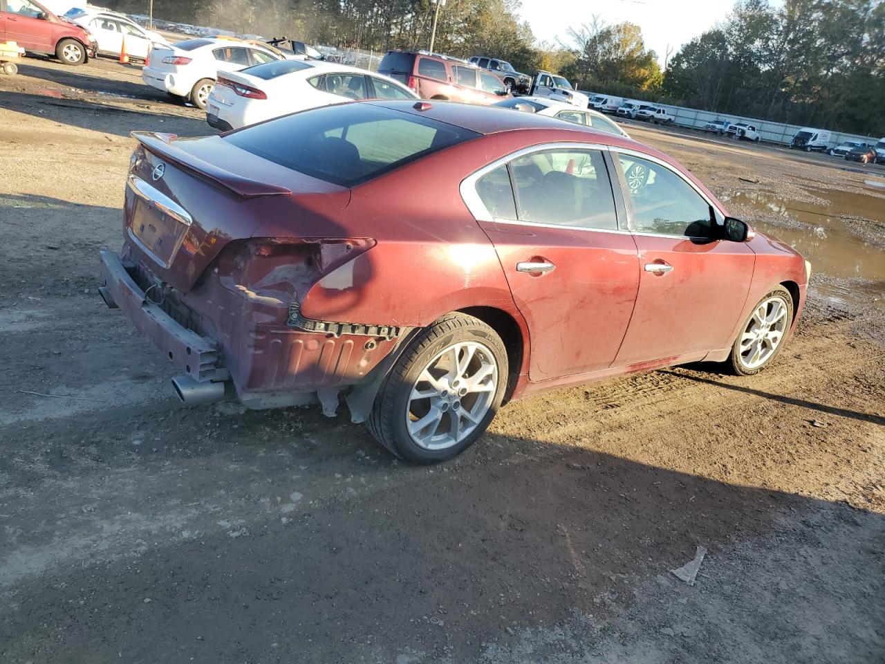 Lot #3030433460 2013 NISSAN MAXIMA